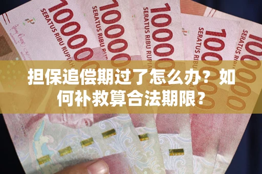 济南担保追偿期过了怎么办？如何补救算合法期限？