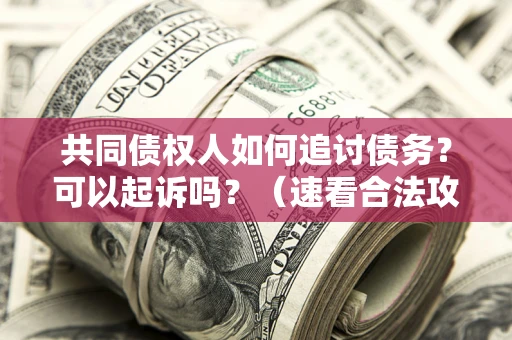 济南共同债权人如何追讨债务？可以起诉吗？（速看合法攻略）